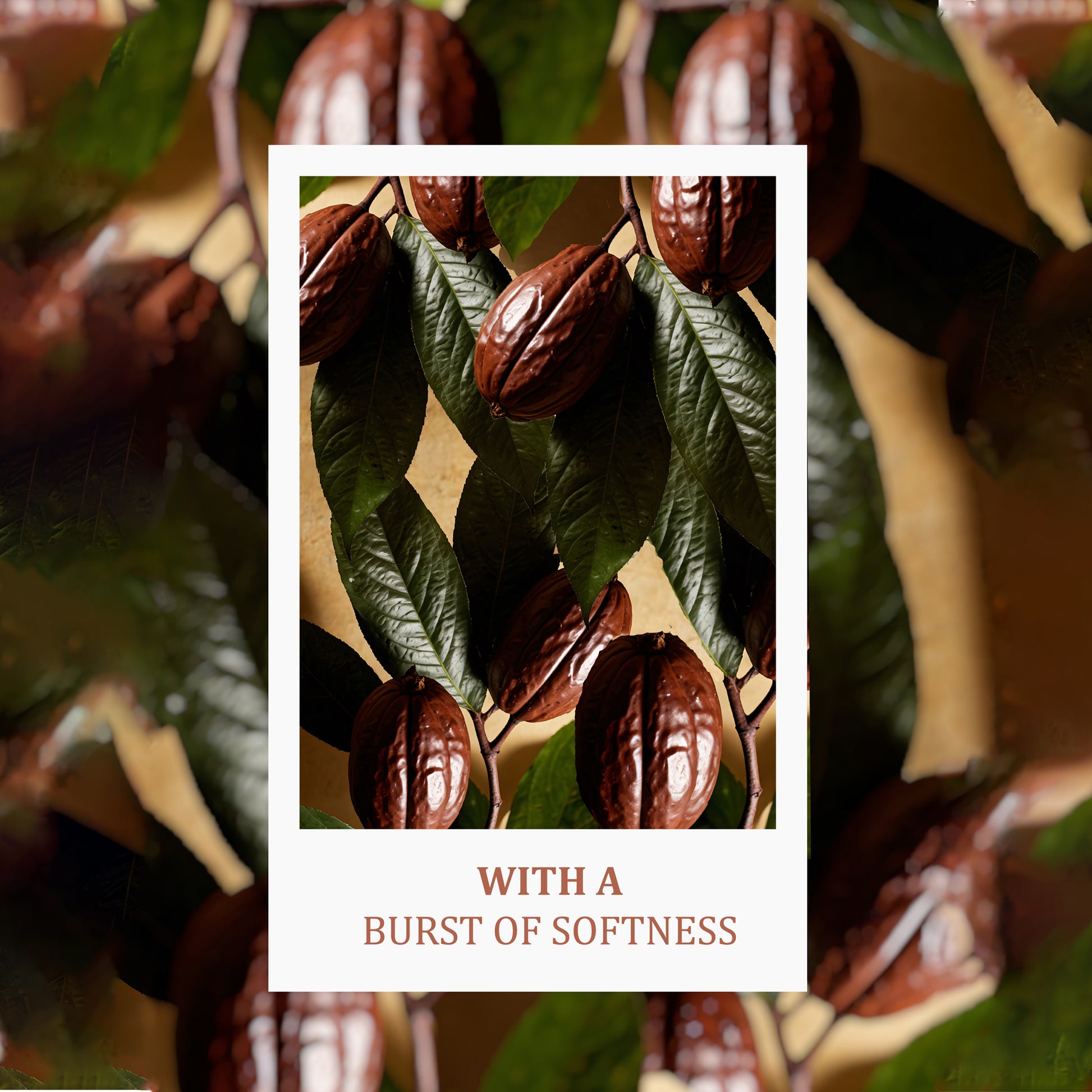Cocoa Butter - Body Wash
