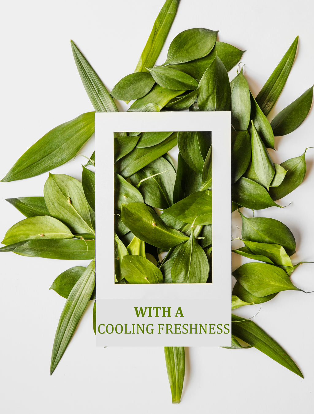 Tea Tree - Body Wash