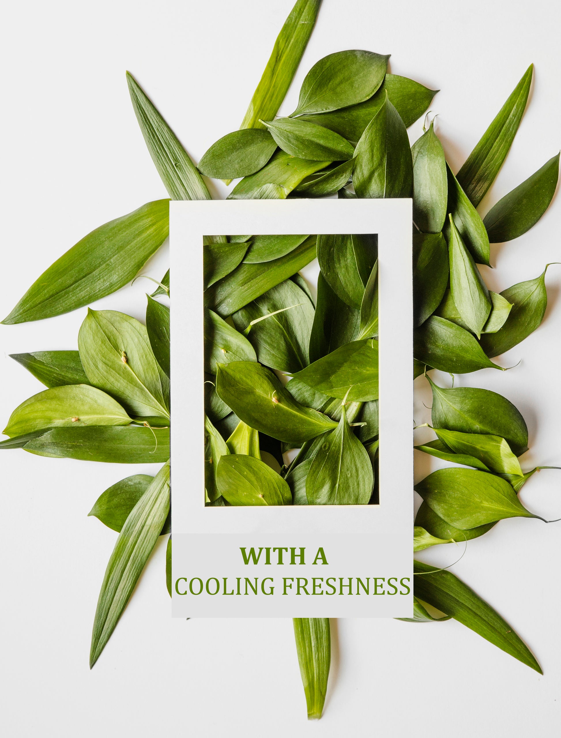 Tea Tree - Body Wash